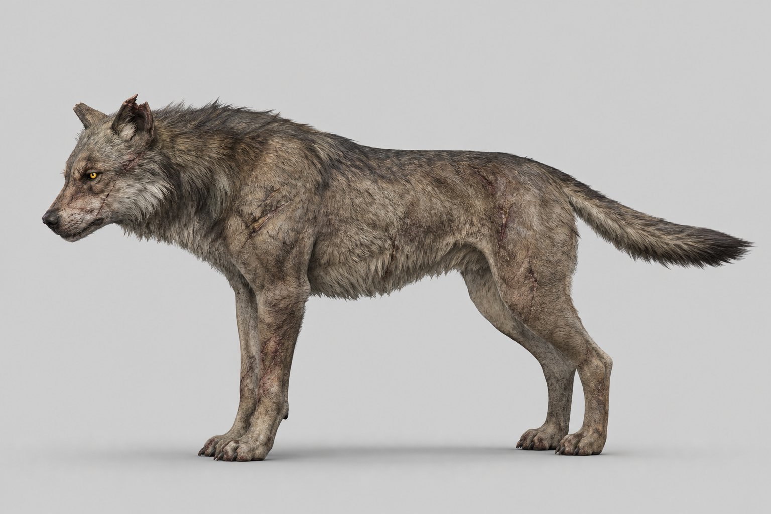 Design du personnage de loup des steppes — vue latérale en pied